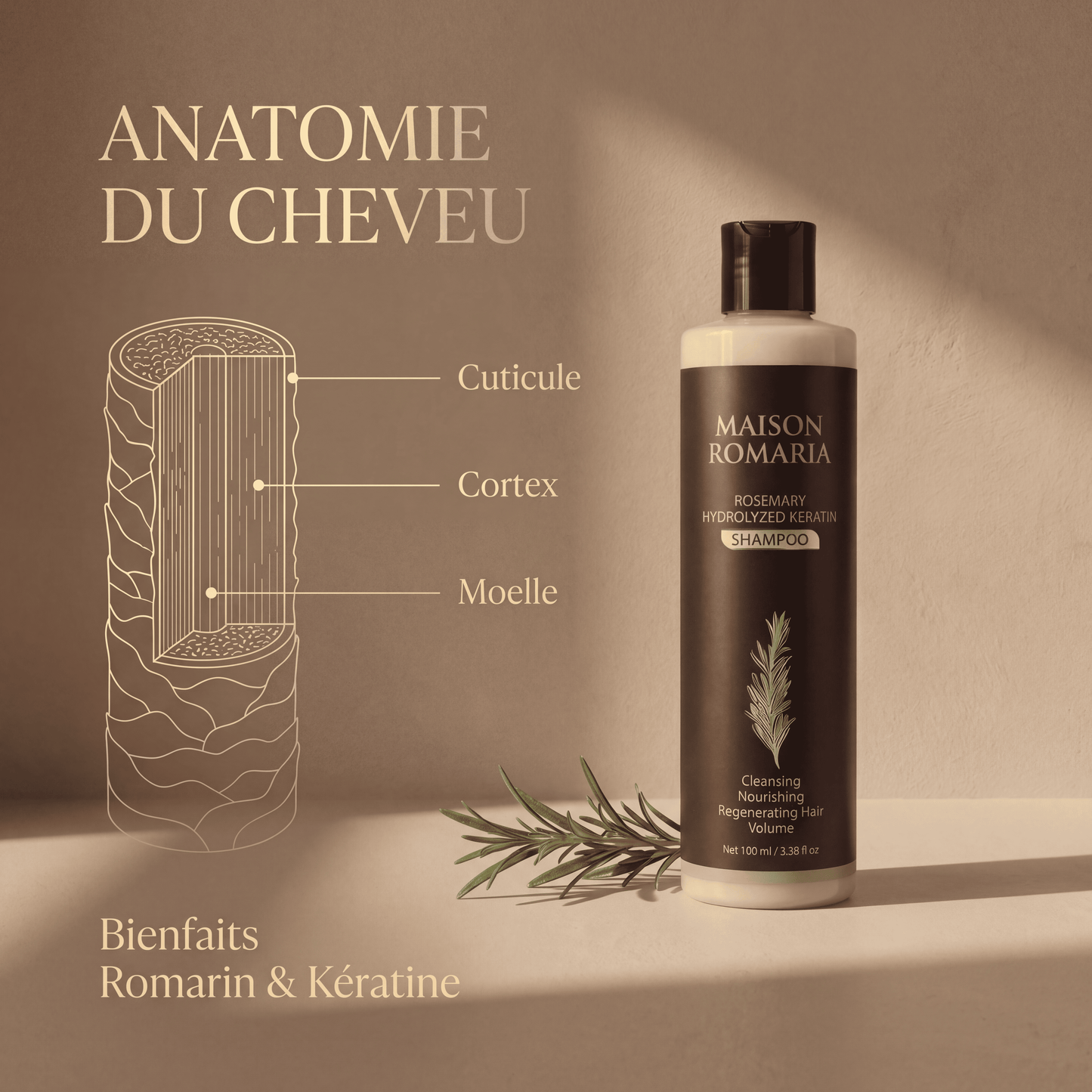 Maison Romaria™ — Shampoing au Romarin pour Cheveux Clairsemés